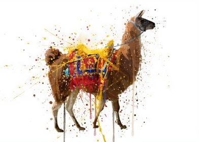 Llama