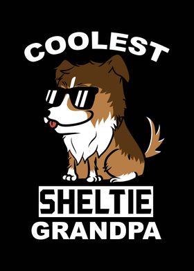 Shetland Sheepdog Grandpa 