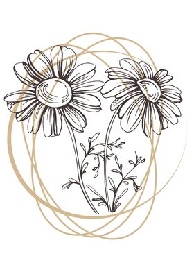 Chamomile and Daisy wheel 