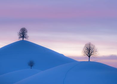 Snow Landscape