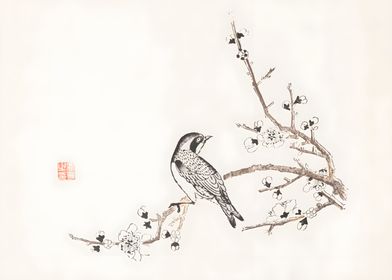 Ukiyo e Bird 