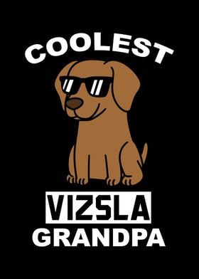 Vizsla Grandpa 