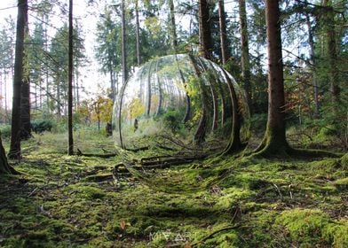 Forest Sphere