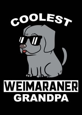 Weimaraner Grandpa 