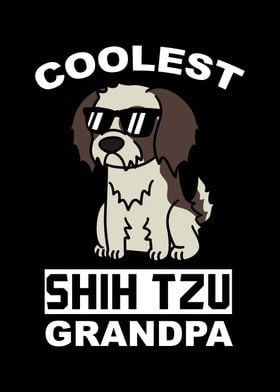 Shih Tzu Grandpa 