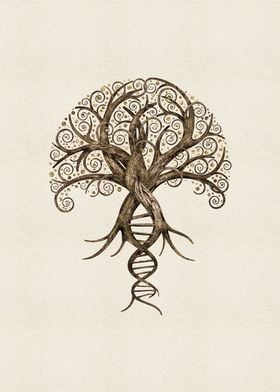 Tree of Life  Evolution