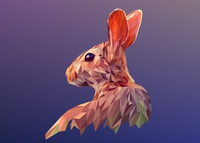 rabbit