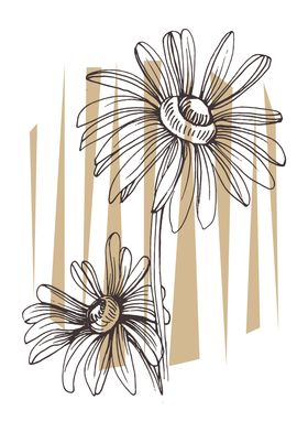 Chamomile and Daisy wheel 