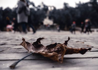 autumn in athens