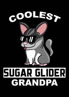 Sugar Glider Grandpa 