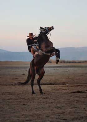 Cowboy on horseback