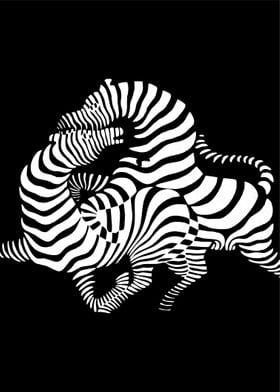 zebra