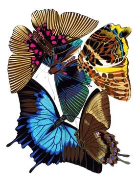 06 Vintage Papillons
