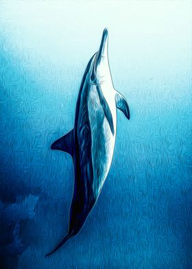 Dolphin