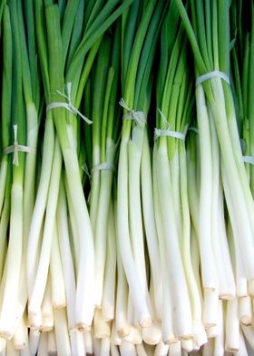 green onions