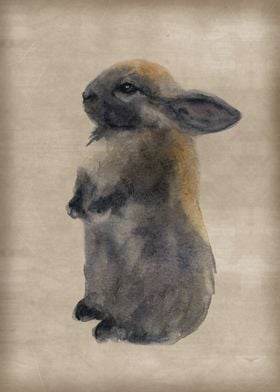 Standing rabbit