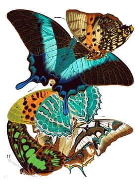 09 Vintage Papillons