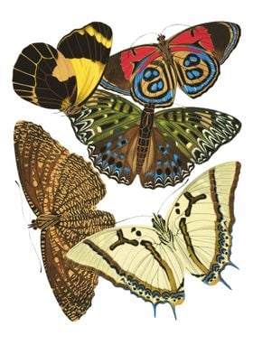 07 Vintage Papillons