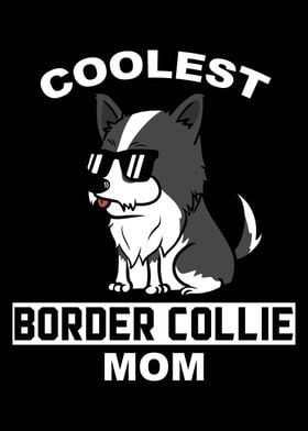 Border Collie Mom 