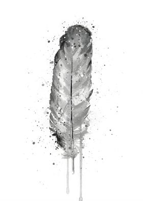 Feather