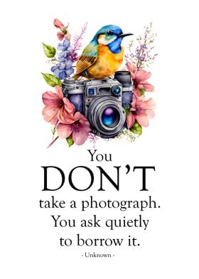 You dont take a photograph