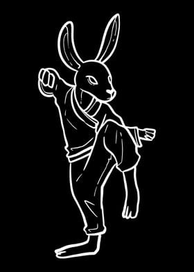 Rabbit Ninja Karate Martia