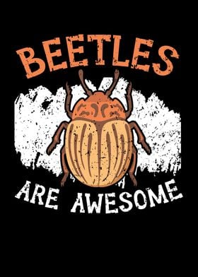 Beetles Are Awesome