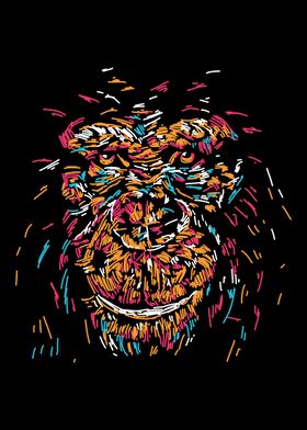 Gorilla