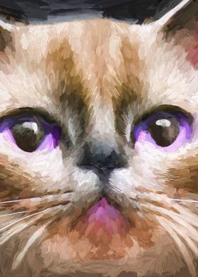 Oil Persian Cat Portrait