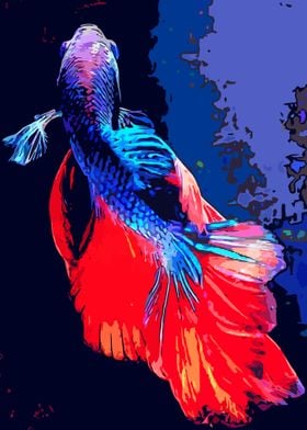 Siamese Fighting Fish