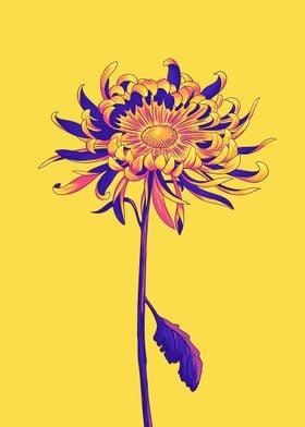 Flower Retro Popart