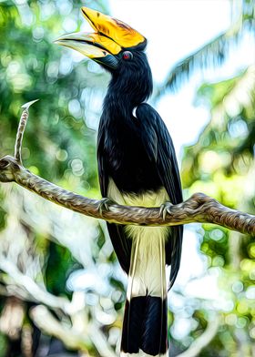 Hornbill