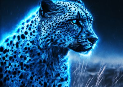 Leopard Blue Aura