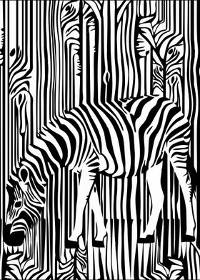 zebra 2