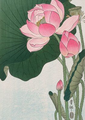 Ohara Koson Ukiyo E Print-preview-0