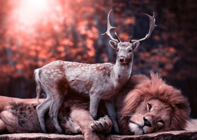 Lion and deer in harmony