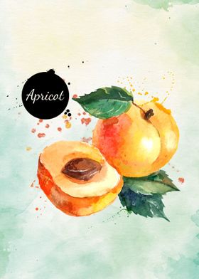 apricot watercolor