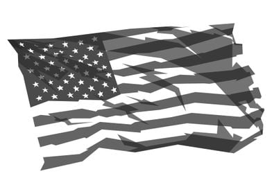 Gray American flag