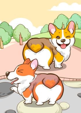 Cute Corgi Dogs