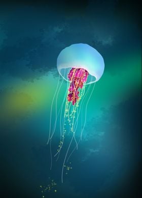 Jellyfish 