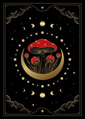 Tarot mushroom growing