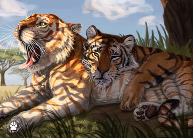 Tigers In The Shade