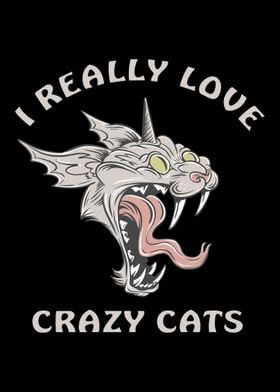 I love crazy cats