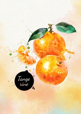 tangerine fruit watercolor