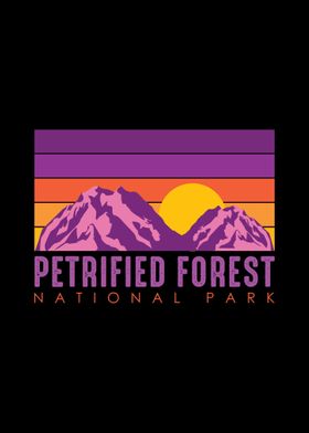 Petrified Forest National 