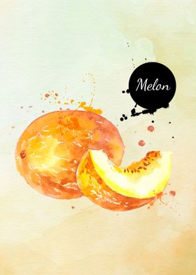 melon fruit watercolor