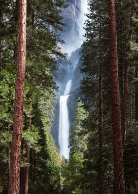 Waterfall and Forest USA