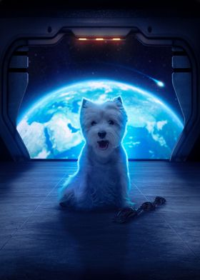 Westie In Space