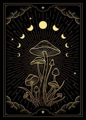 Tarot mushroom moon phase