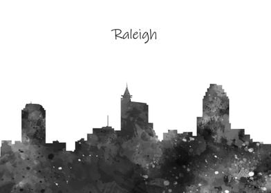 Raleigh Skyline City